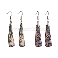 Abalone Shell/Paua ShellEarrings IB8836