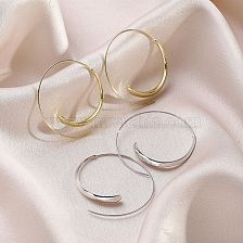 Simple Style Solid Color Alloy Plating Women'S Hoop Earrings